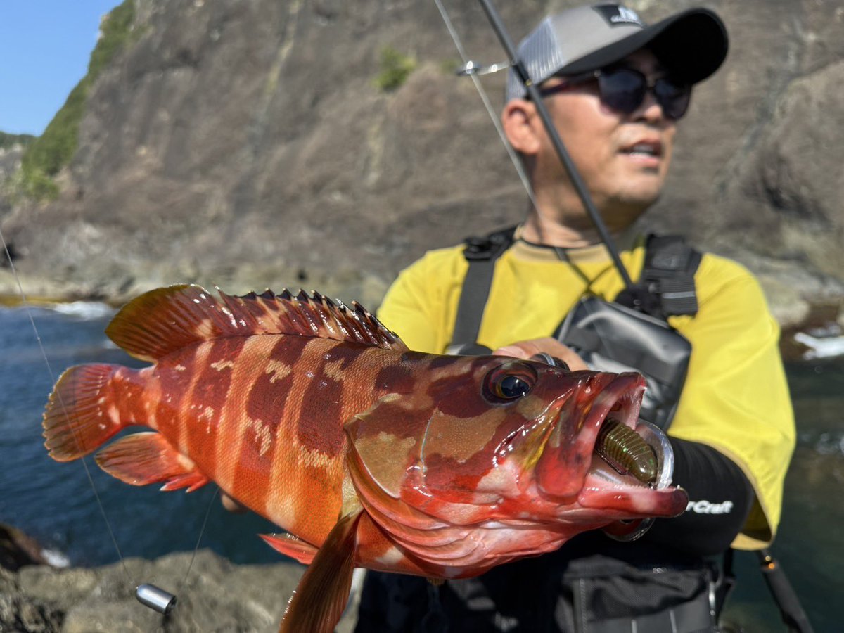 メジャークラフト ゲームベスト 未使用❗ ショアジギング エギング 土居大紀 メジャークラフト ゲームベスト 未使用❗ ショアジギング