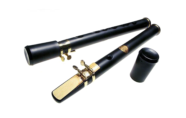 My piece in the telephone collab inspired me to look up used saxophones. Then I found the Xaphoon, which sounds like a sax or clarinet. This would be great in my instrument collection, and it'd be my first reed instrument!

Help fund it on Throne: throne.com/penbuvt/item/c…