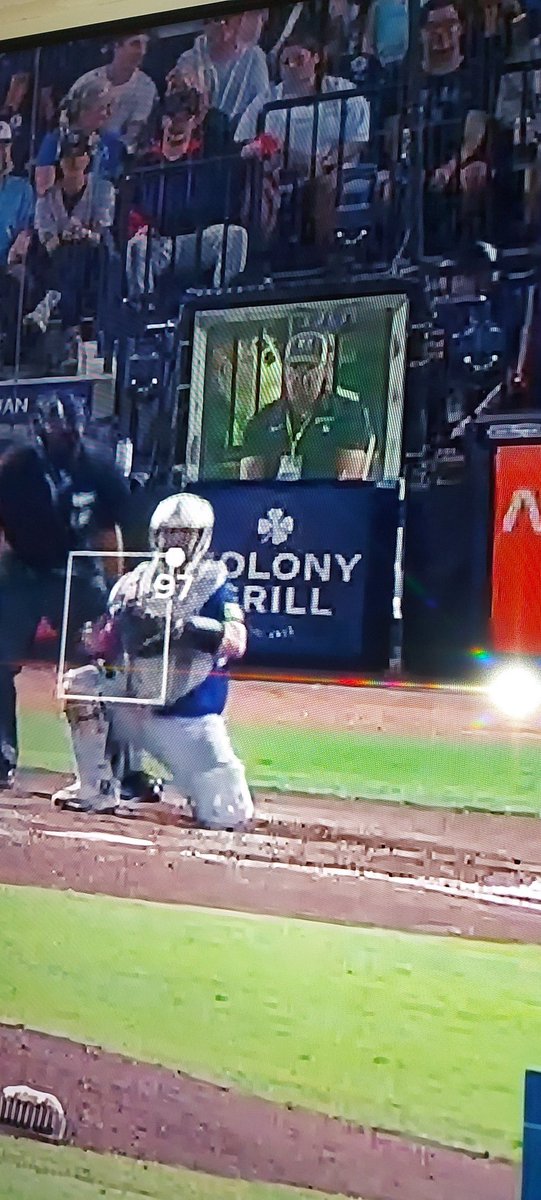 Tampa Bay Ray's have a goal judge.