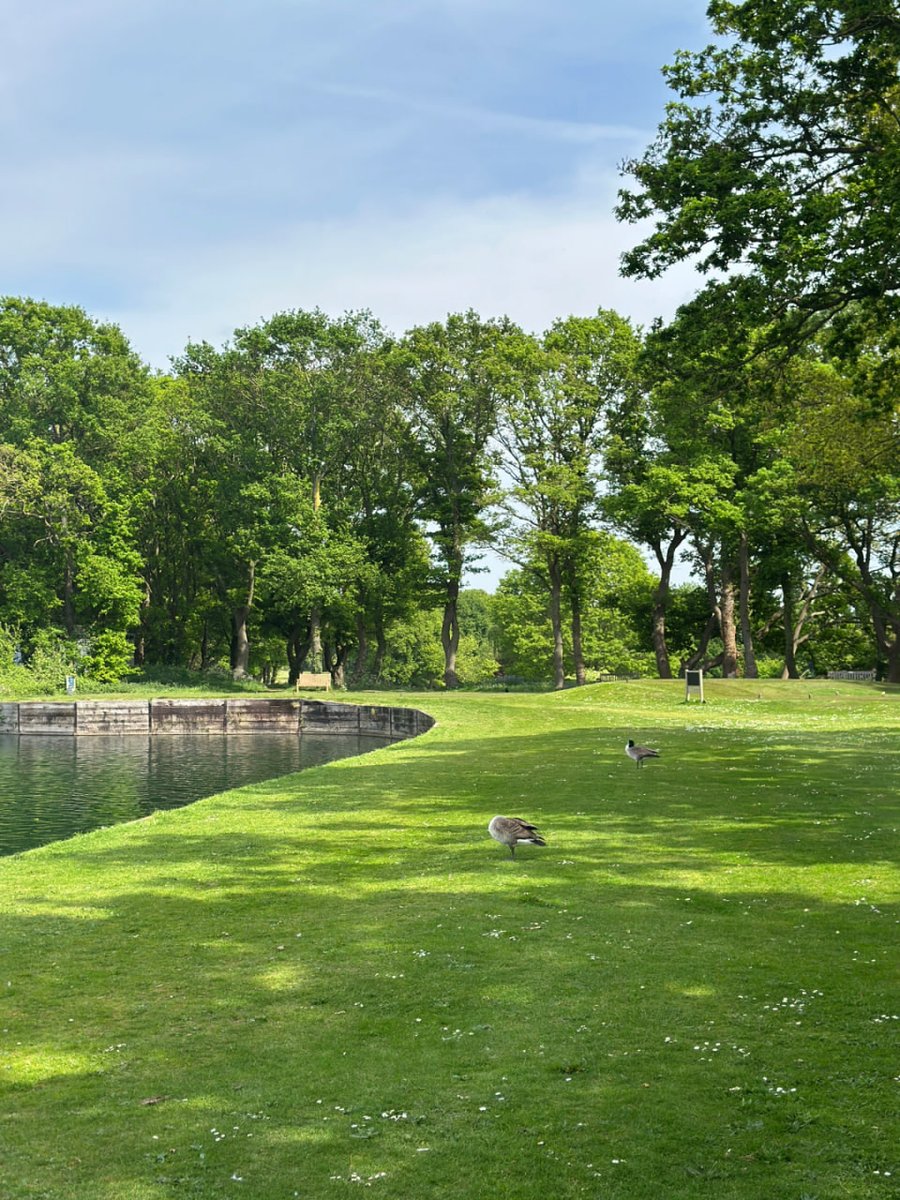 isabelle16554's tweet image. Under the grey skies of London, the green becomes a sanctuary of calm and competition.⛳️🏌🏻‍♀️