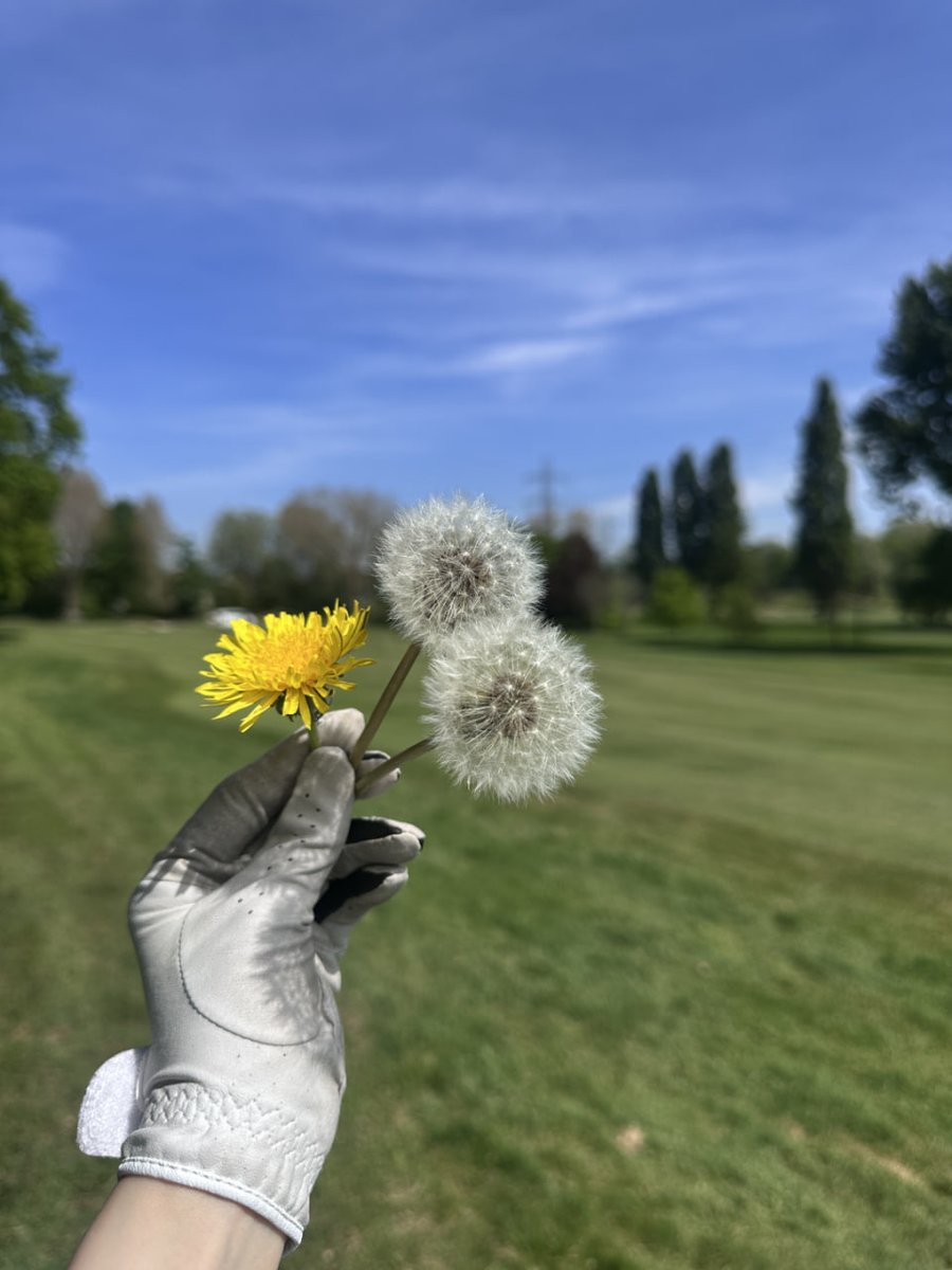 isabelle16554's tweet image. Under the grey skies of London, the green becomes a sanctuary of calm and competition.⛳️🏌🏻‍♀️