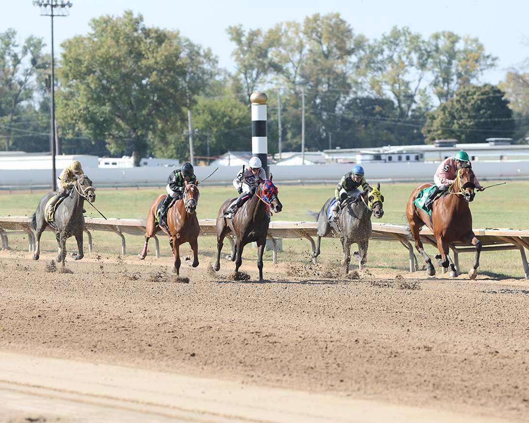 FairmountPk's tweet photo. π Another thrilling day of racing at Fairmount Park! π
Donβt forget β our 100-Year Anniversary Weekend kicks off Sept. 18β20 with giveaways, family fun & the $250,000 STL Derby! π₯³π
#FairmountPark #100YearsOfRacing #STLDerby https://t.co/XKXlGbKHkq