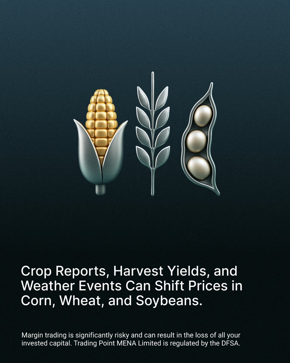 XMMENA's tweet image. Markets have seasons too. 🌾 
Keep learning with us ➡️xm.com/mena/learning-…  

#XMMENA #LearnWithXM #Commodities