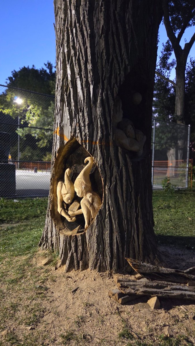 Ma petite marche dans le parc pendant mon #10Kmjr.

#Montréal 

Ils sont beaux nos parcs au Québec! 💙