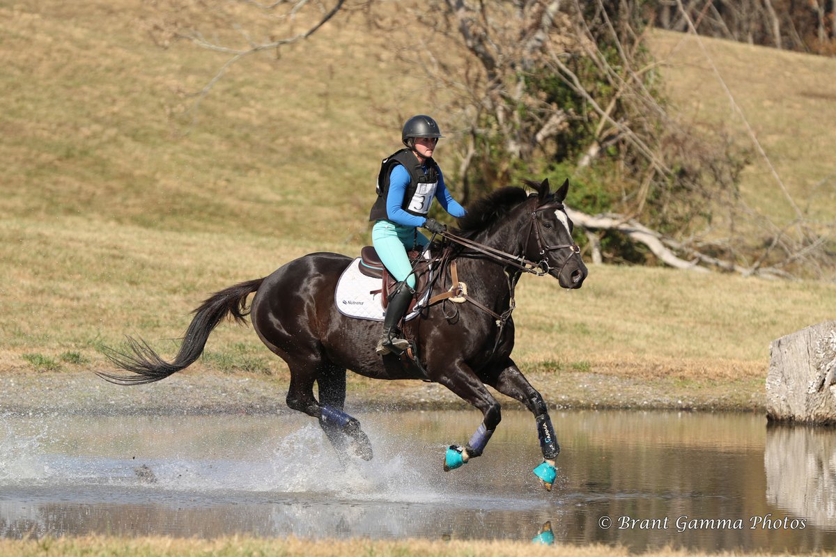 Here's a big welcome to KAYLEEN KOLLASCH! 

"I grew up on the back of a Thoroughbred, spending most of my time in high school working on the backside or showing them in the hunters and equitation."

therealridercup.com/competitor/knk…

#JumpOn! 🏇🏆