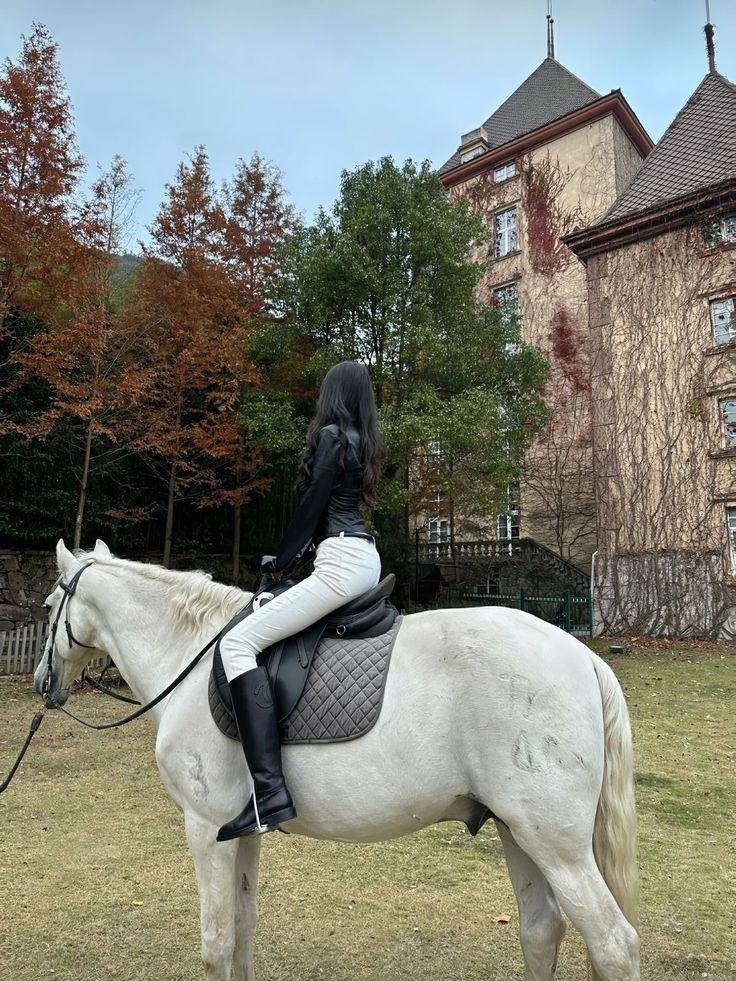 🐎🐎🤍