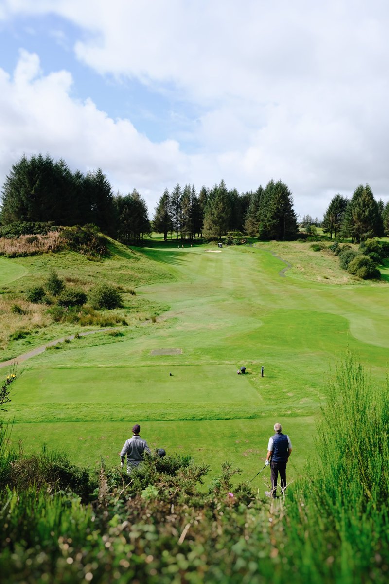 Greig Anderson tweet media