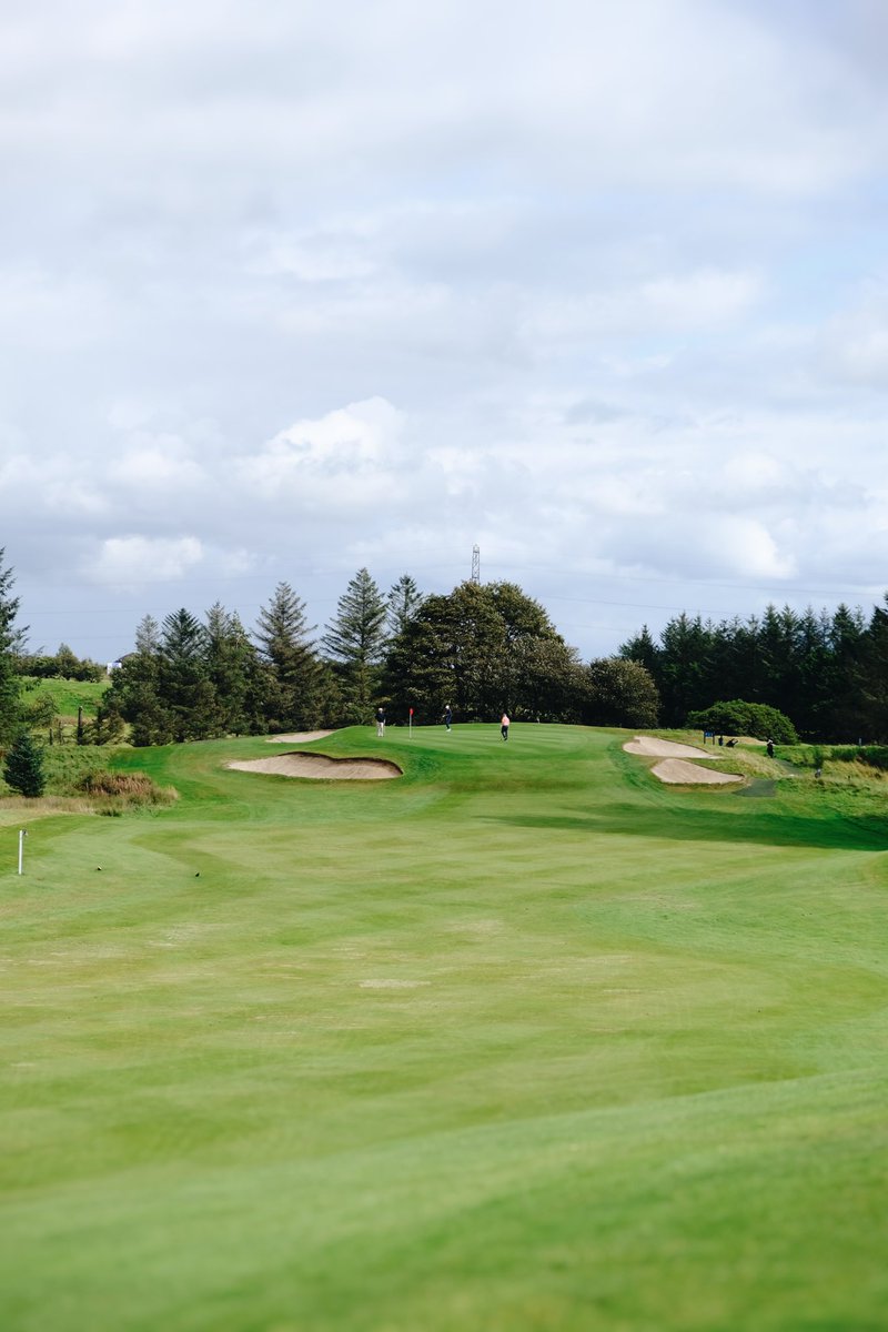 Greig Anderson tweet media