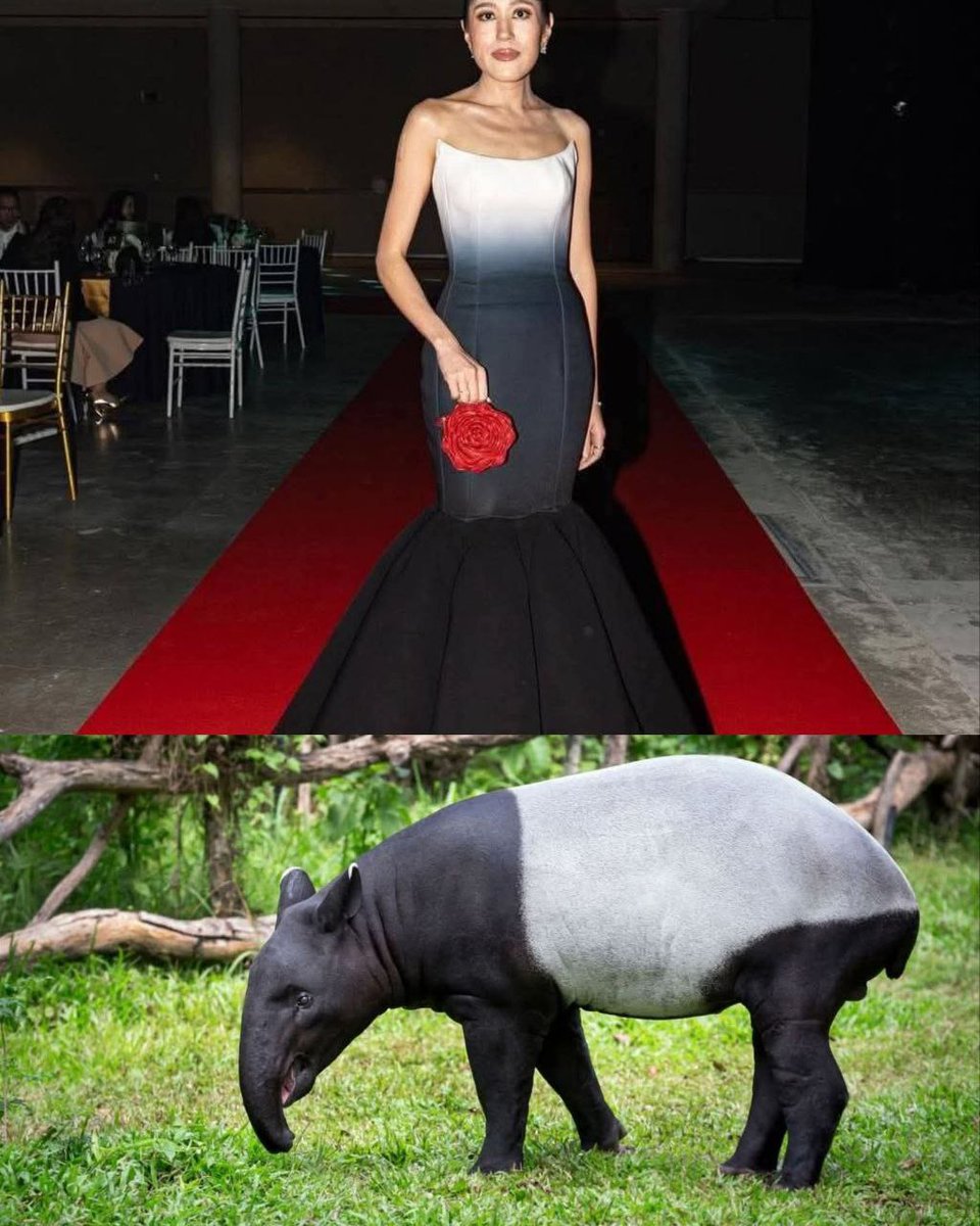 เออ..เหมือนจริงแฮะ🤣🤣