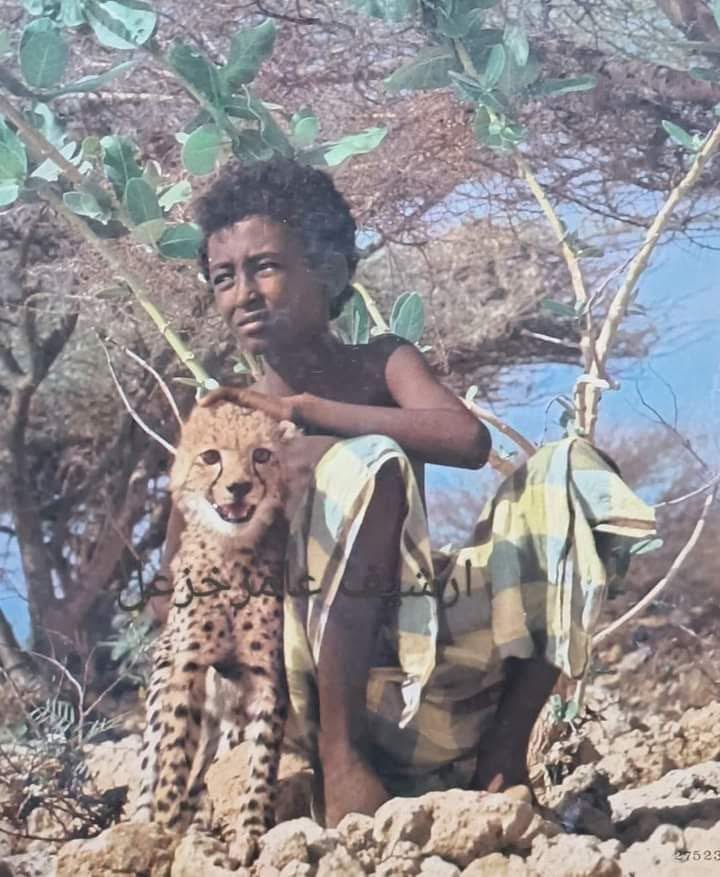 Let's coexist with nature.