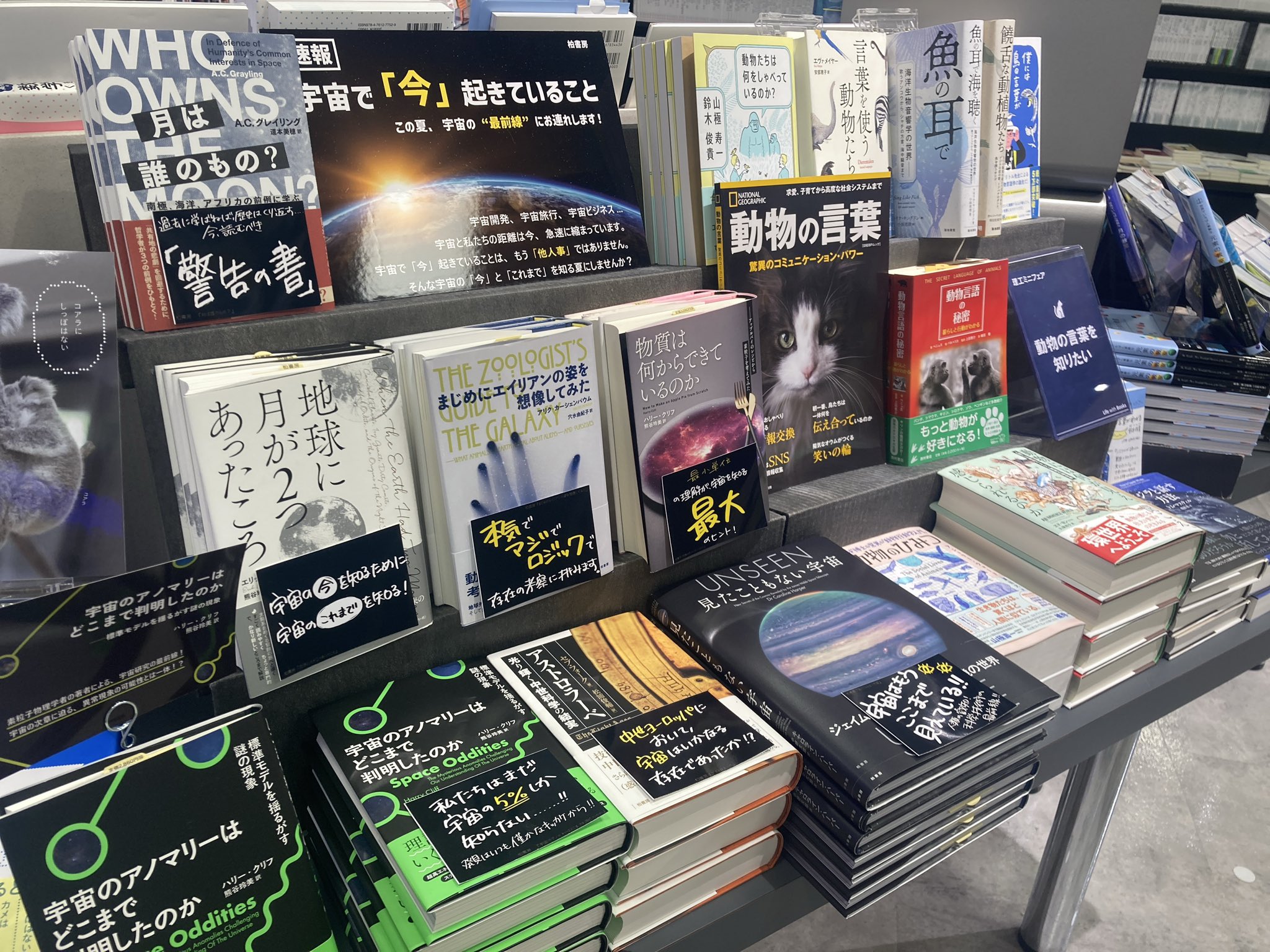Bags 洋書　日本語　その他　⭐️ ♡ ☆匿名☆ Bags 洋書 日本語 その他 ⭐️ ♡ ☆匿名☆ Amazon.co.jp