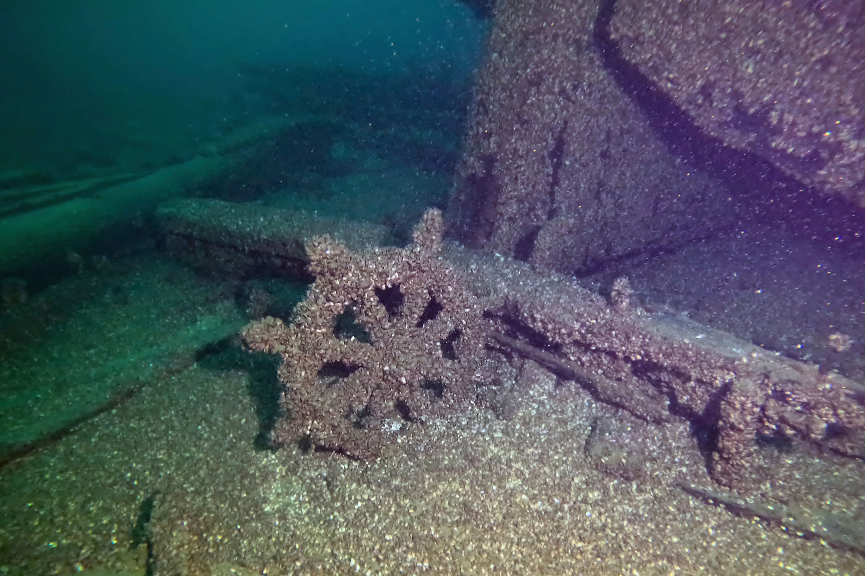 الباحثون يكتشفون سفينة أشباح  غرقت في بحيرة ميشيغان. (اكس)