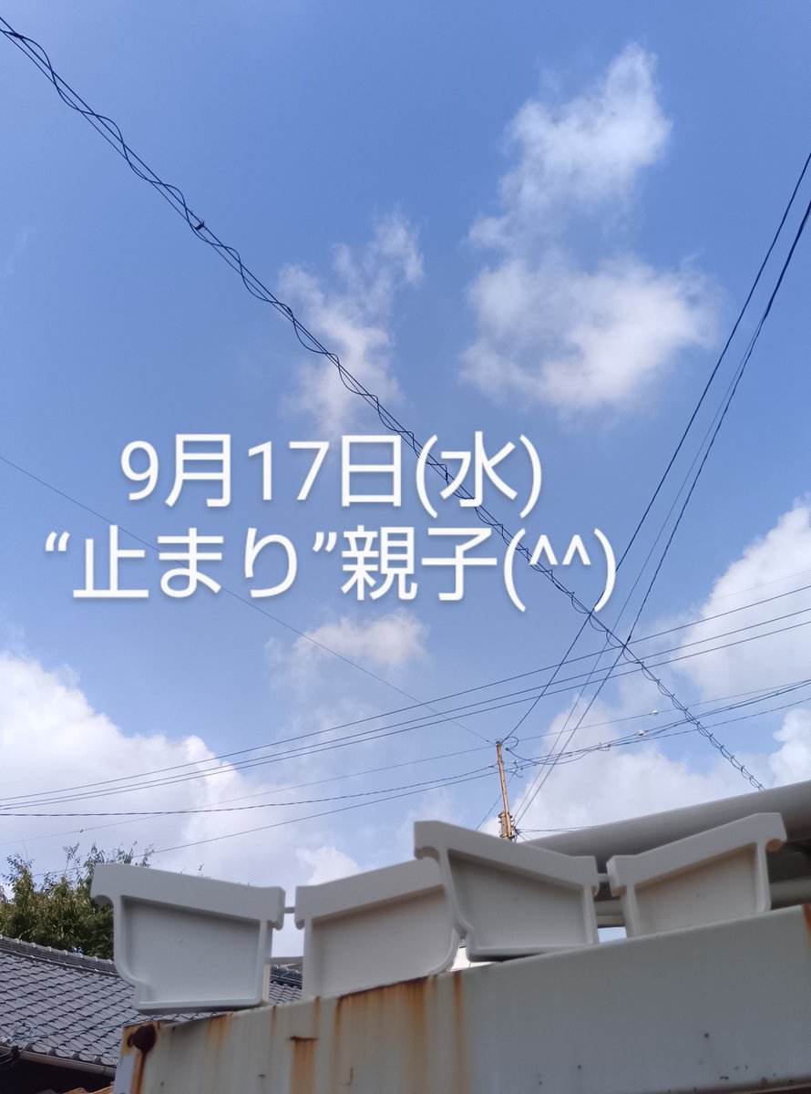 saida_kk758's tweet photo. おはようございます🙇♂️
9⃣月も半分終わったかぁ🤔
今朝は住宅用 #雨樋 部材
「#パナソニック #止まり #PC77」が親子でご挨拶
(勝手に親子と呼んでます😆)
大きい止まりと小さい止まりがいるの分かりますか?
#軒樋 の端っこに取り付ける大事な部材です
#企業公式相互フォロー
#企業公式 https://t.co/AGNUX50xvk