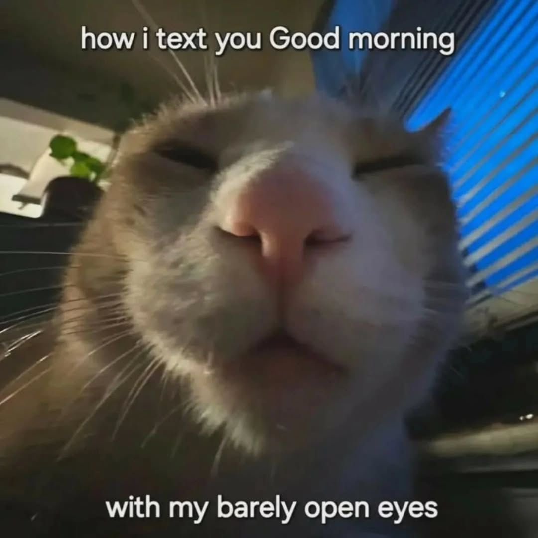 Out Of Context Animals (@animalscontexts) on Twitter photo 