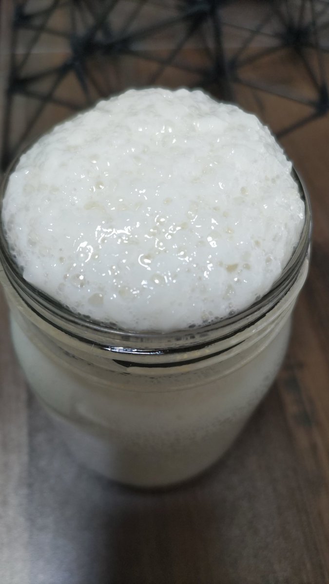 freedom_imi's tweet photo. 酒種育て中🌾🍚✨
愛おしすぎて、この細胞分裂のようなプクプクをずっと見ていられる…😇✨ https://t.co/6Yd7CUifz1