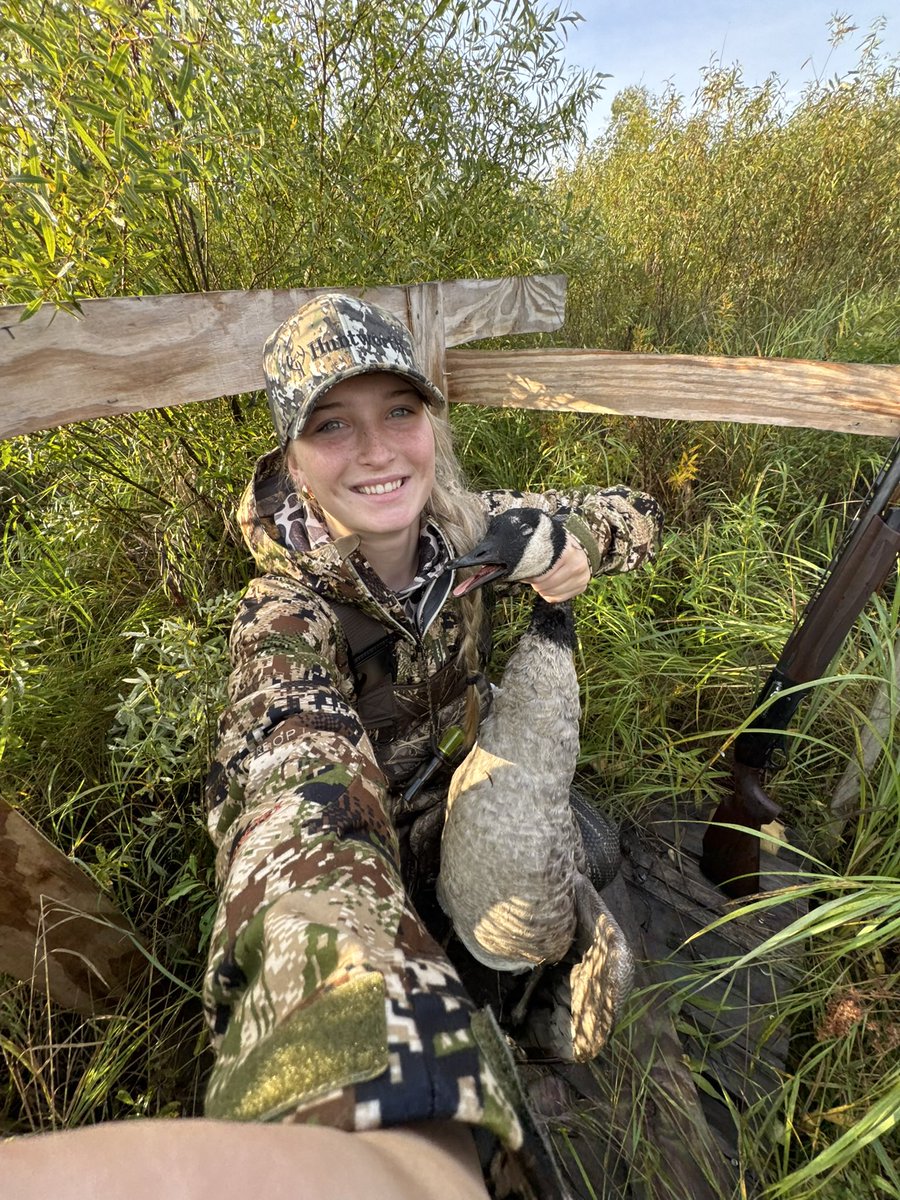 Mark Hazlett tweet media