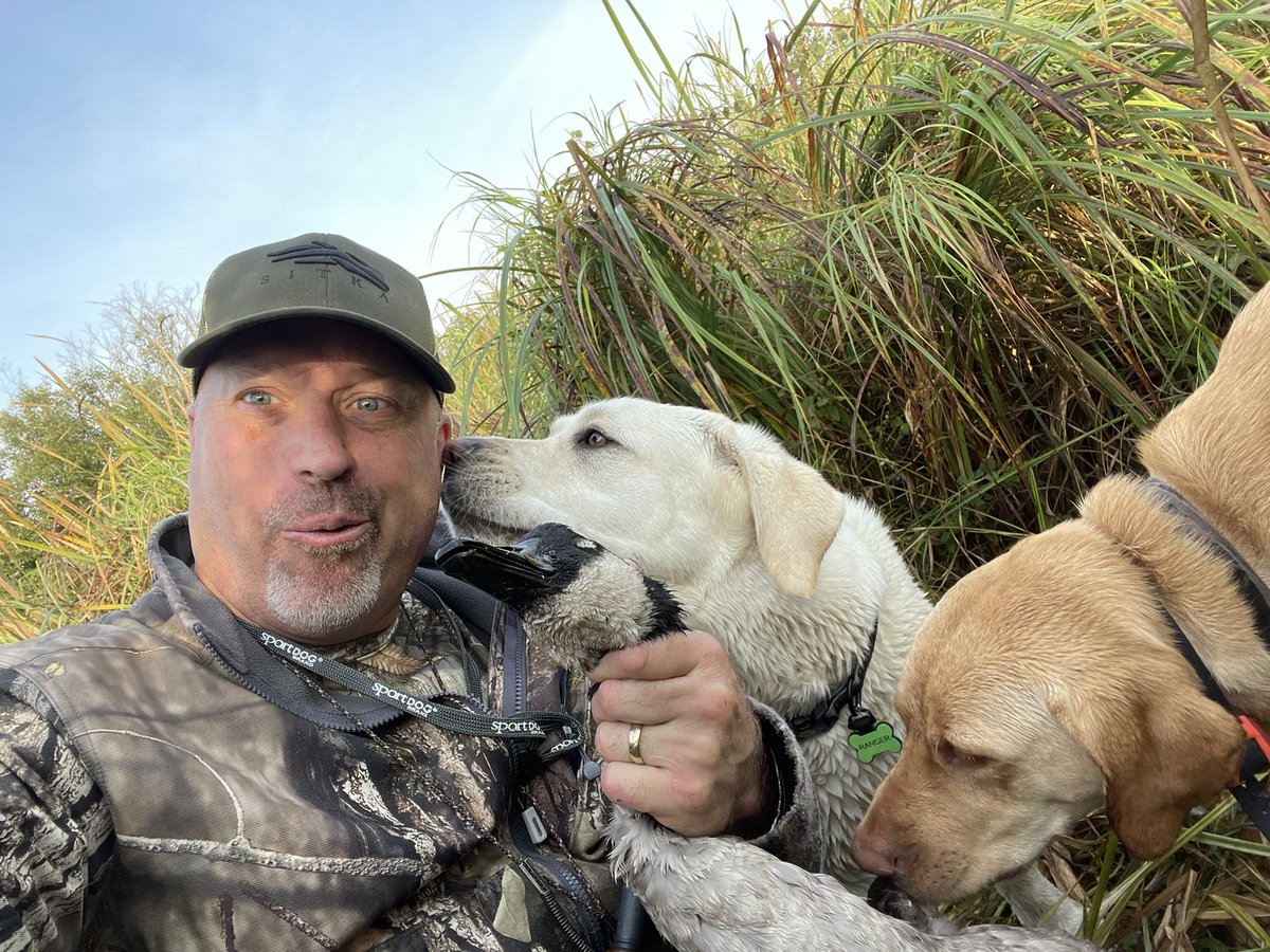 Mark Hazlett tweet media