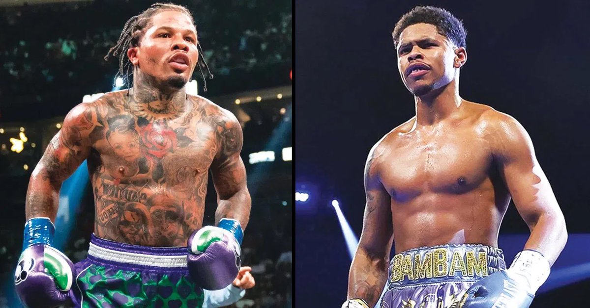 BOXING n BBQ tweet media