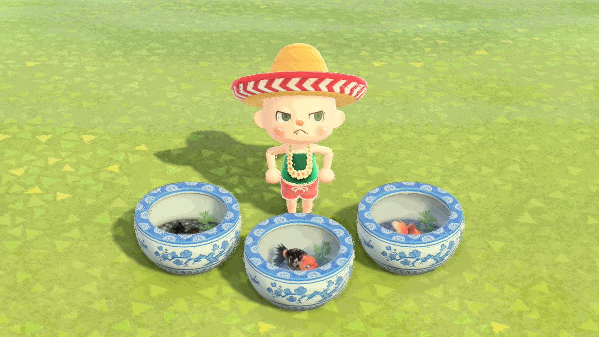 朝イチに人の心えぐってくるな🥺
自分が1番分かってる🥺
不安ばっかり煽るな🥺
泣いてしまう🥺
あほーーーー😭
でももう限界なのかもしれない

金魚釣れた🐟