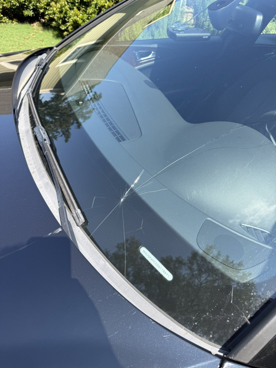 billymPA_C's tweet photo. @CLTgov perhaps removing or taking better care of trees on city maintained property could’ve prevented me from getting a new windshield. https://t.co/DzwQaCxWou