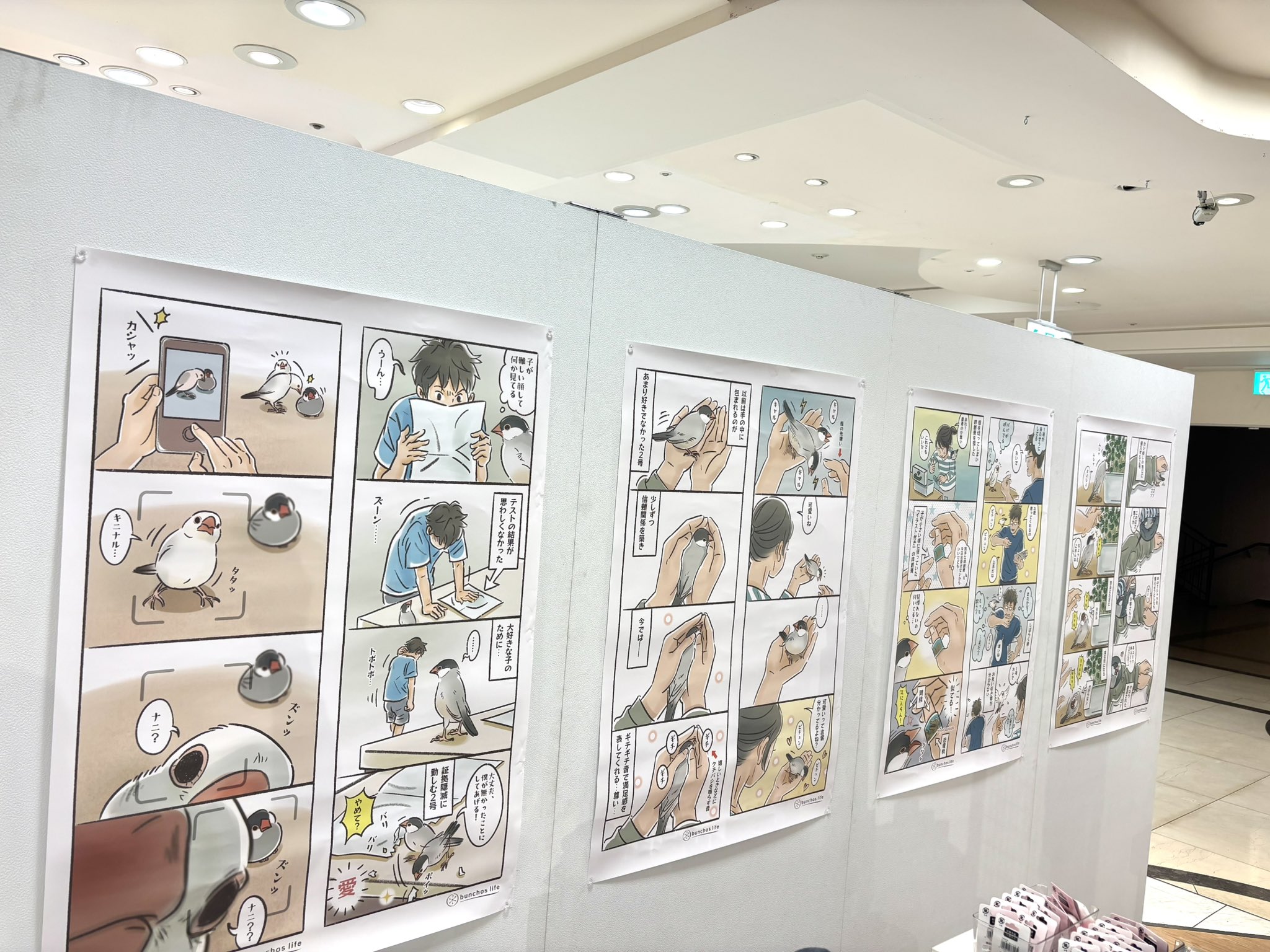 こむぎページ こむぎ。 (@wheat_054128) / X