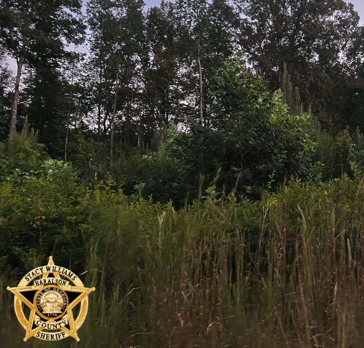 Good Tuesday evening folks, we hope y’all have a great night!! 

#GoodnightHaralson 
#HCSO