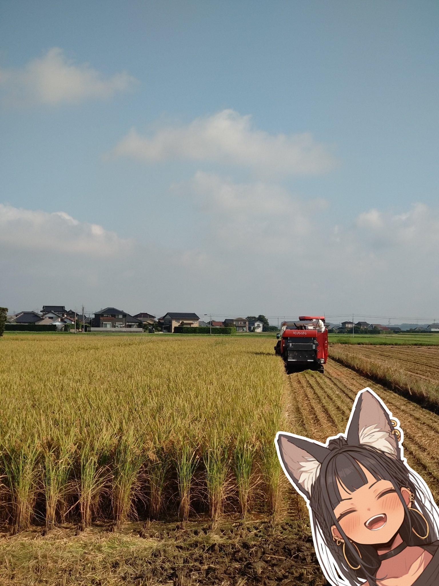 くりりん - Search / X