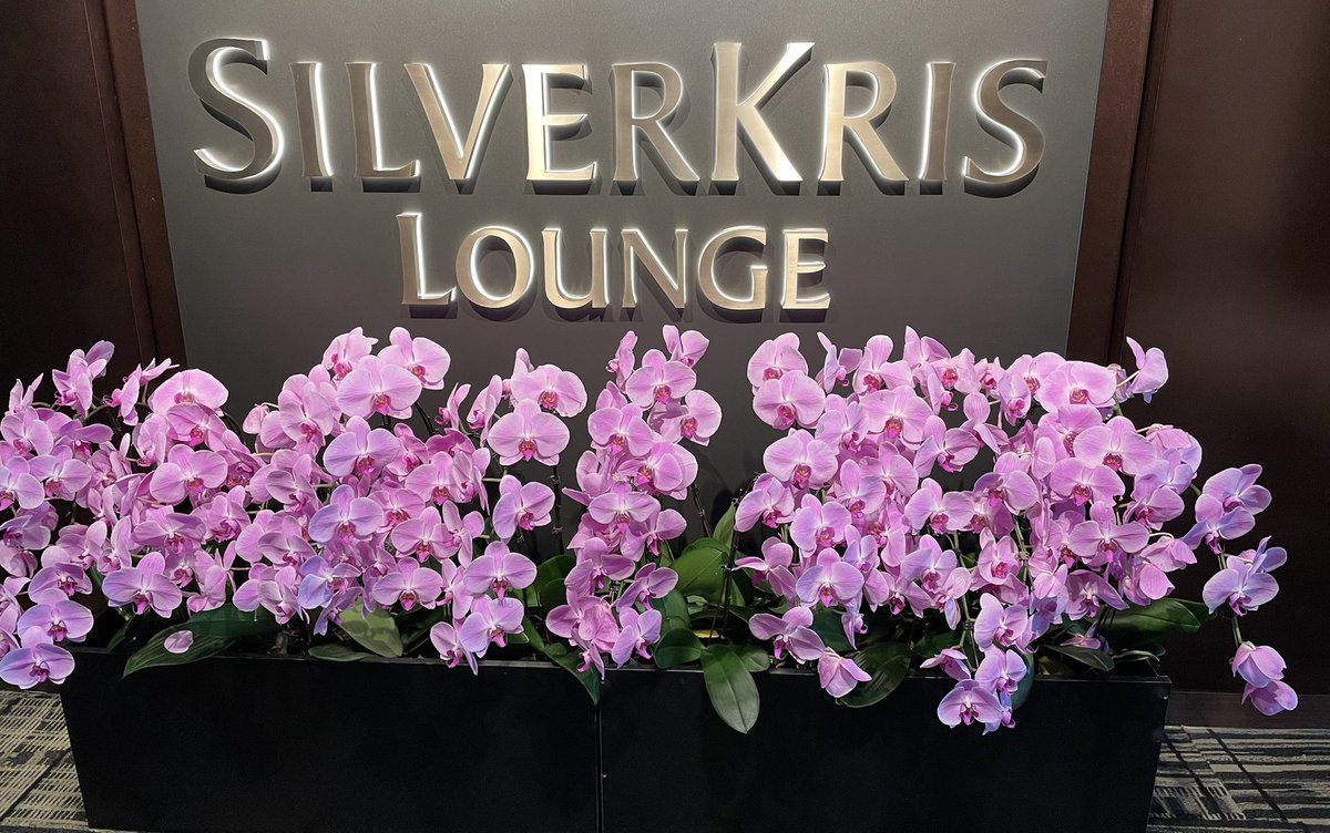 Our thanks to all at Singapore Airlines <a href="/SingaporeAir/">Singapore Airlines</a>  for looking after us in our visit to Malaysia 🇲🇾 and Thailand 🇹🇭 and for getting us home safely. Great work …💥💥💥
#tandjos25