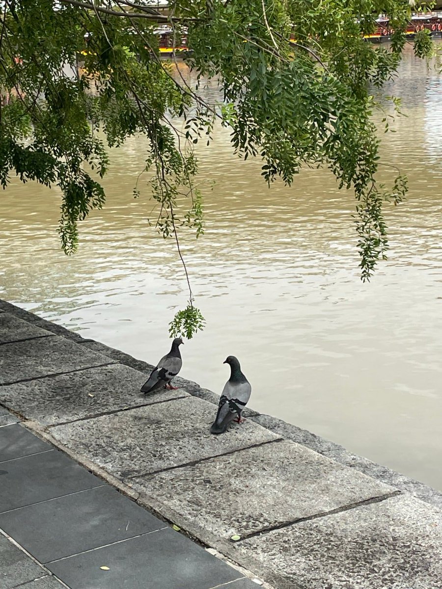 nnqhttt's tweet image. おはよう💫 水曜の朝、笑顔と強い心を持って夢を追いかけよう。努力は必ず未来に花を咲かせる。