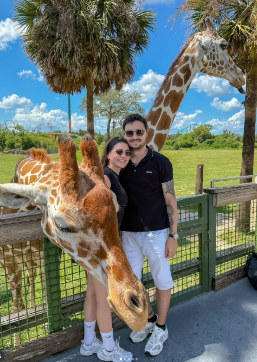 rafacouto1988's tweet photo. Em Orlando, @felipeneto e sua namorada seguem como se nada tivesse acontecido…
Isso depois de vários ataques a @elonmusk e ao @POTUS.

Qualquer um pode atacar a imagem do presidente dos EUA e fica por isso mesmo?
@DeputySecState @SecRubio
@pfigueiredo08 @emd_worldwide https://t.co/sIi8mJIQPM