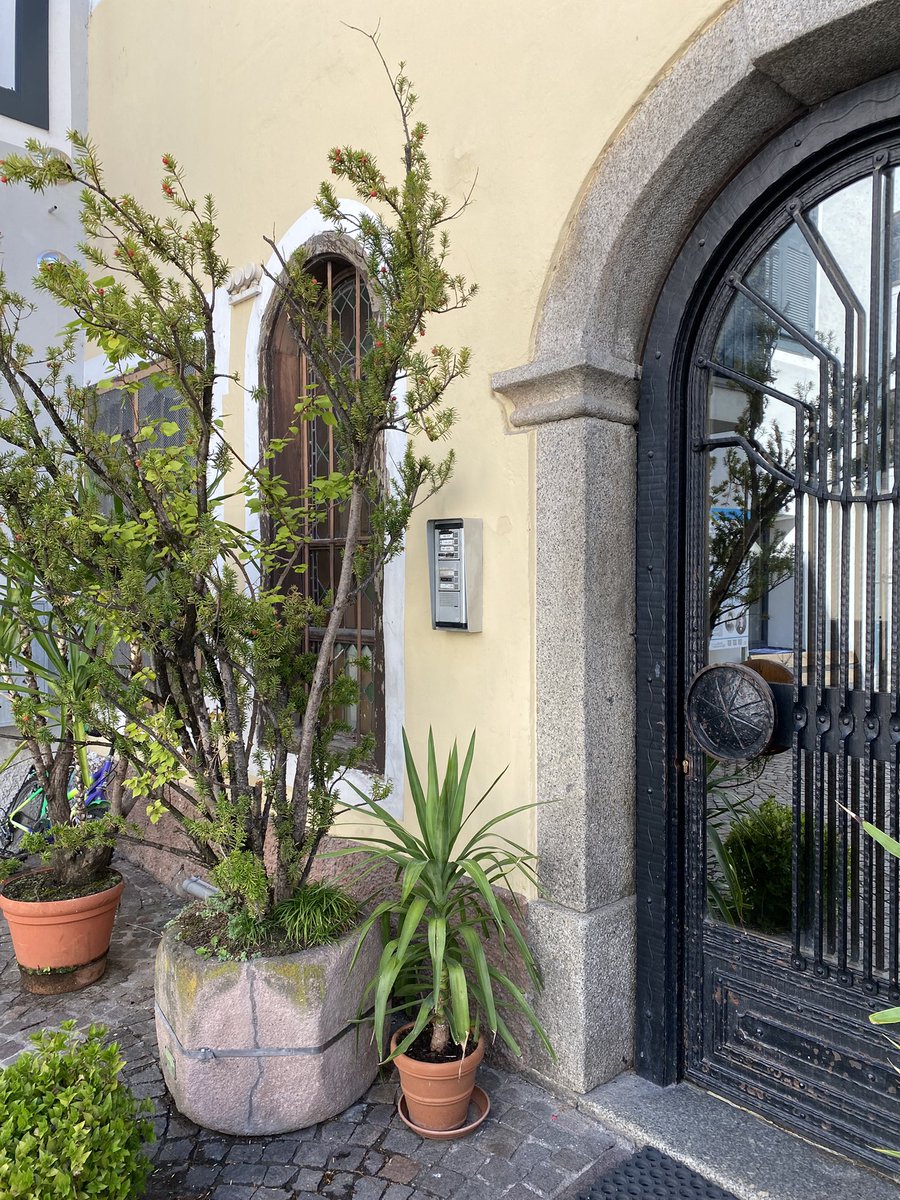 Sonia Zuccaro tweet media