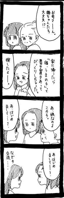 猫のお産に立ち会った話14 