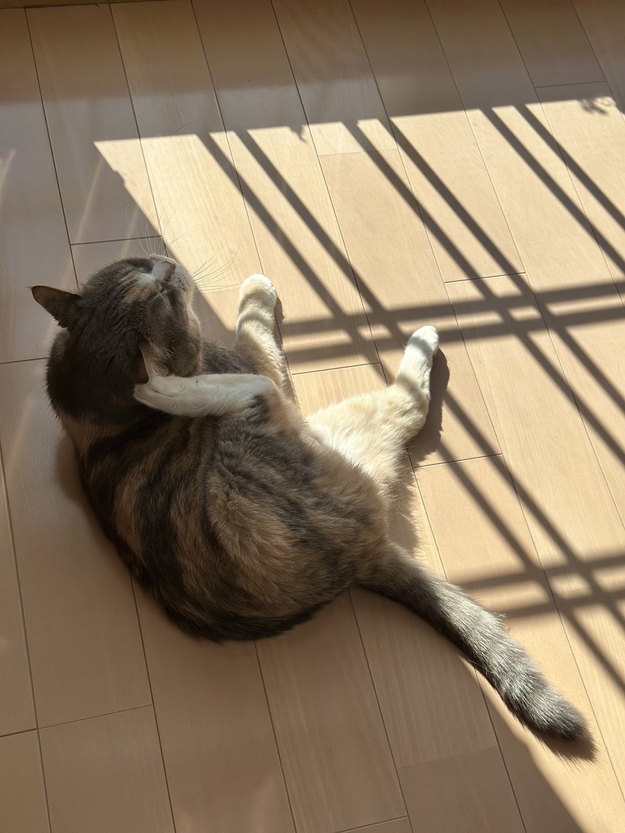 きょうもおひさま様 Hoickおすすめ！保育園で子どもたちに大人気！“おひさま・太陽