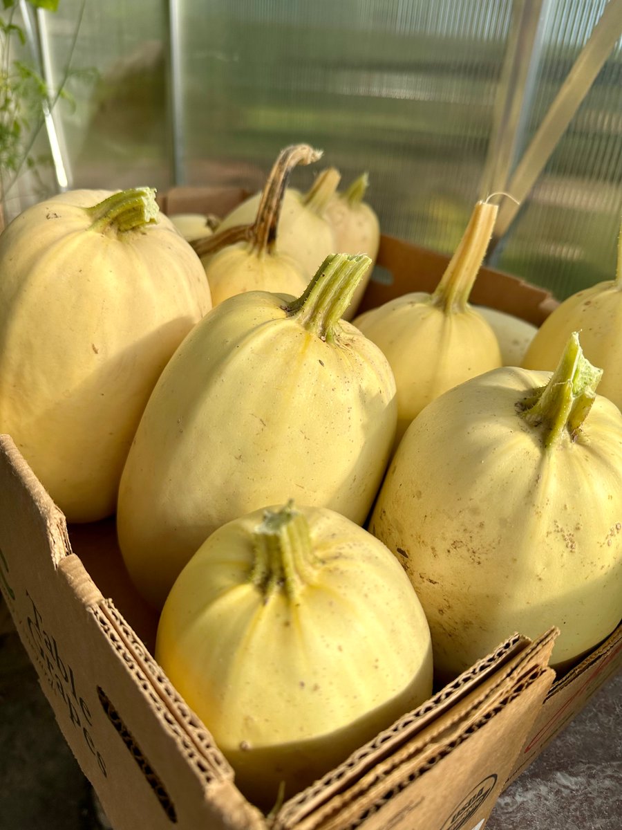 Heirloom Grown tweet media