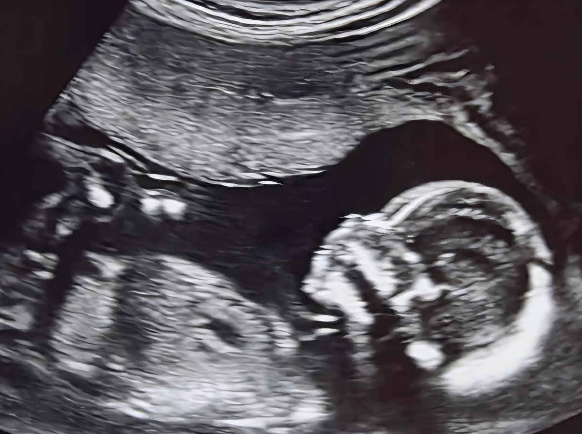 The Inner Circle Trader tweet media