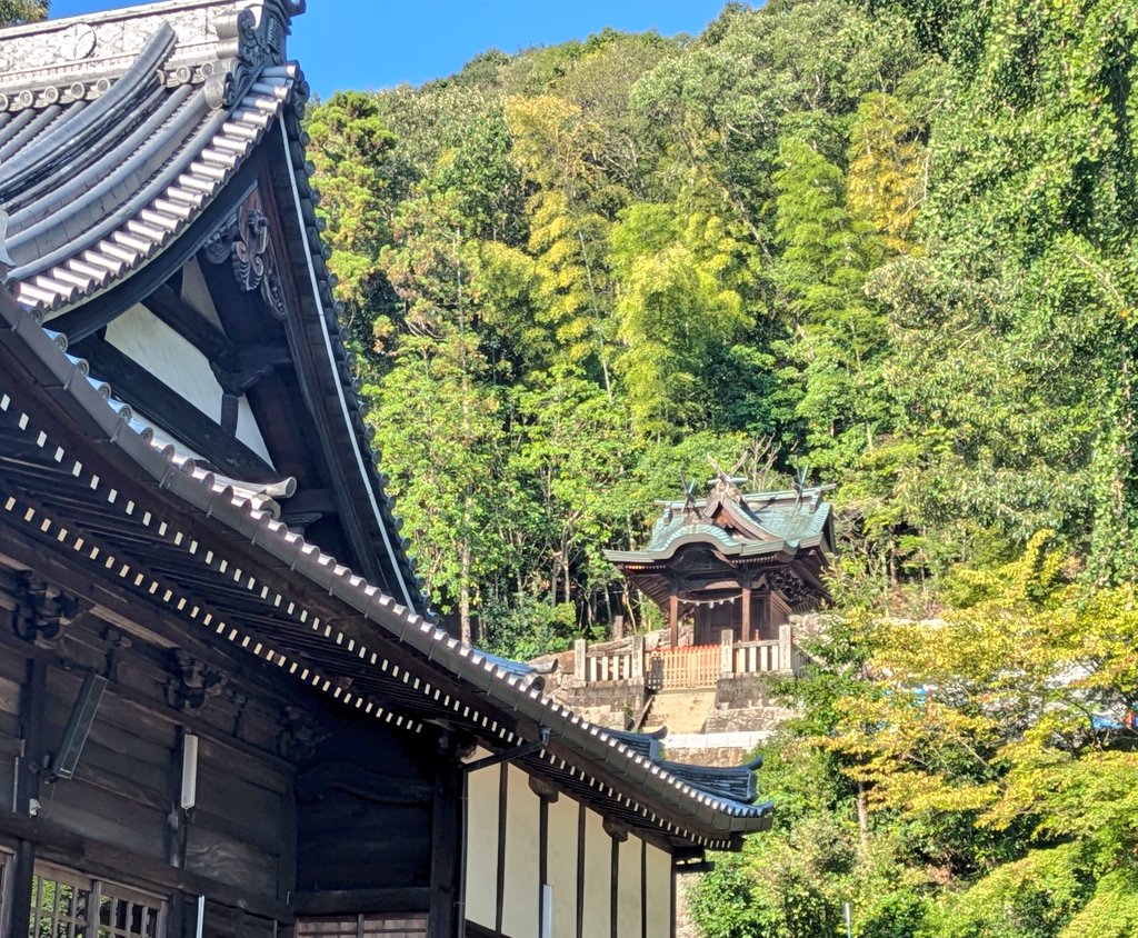 お寺のお堂の後ろにある神社の備前焼狛犬
参道の石段が立ち入り禁止になっていて狛犬には近づけなかった
神社の後ろの山には古墳群があり古くからの祭祀が行われていた場所