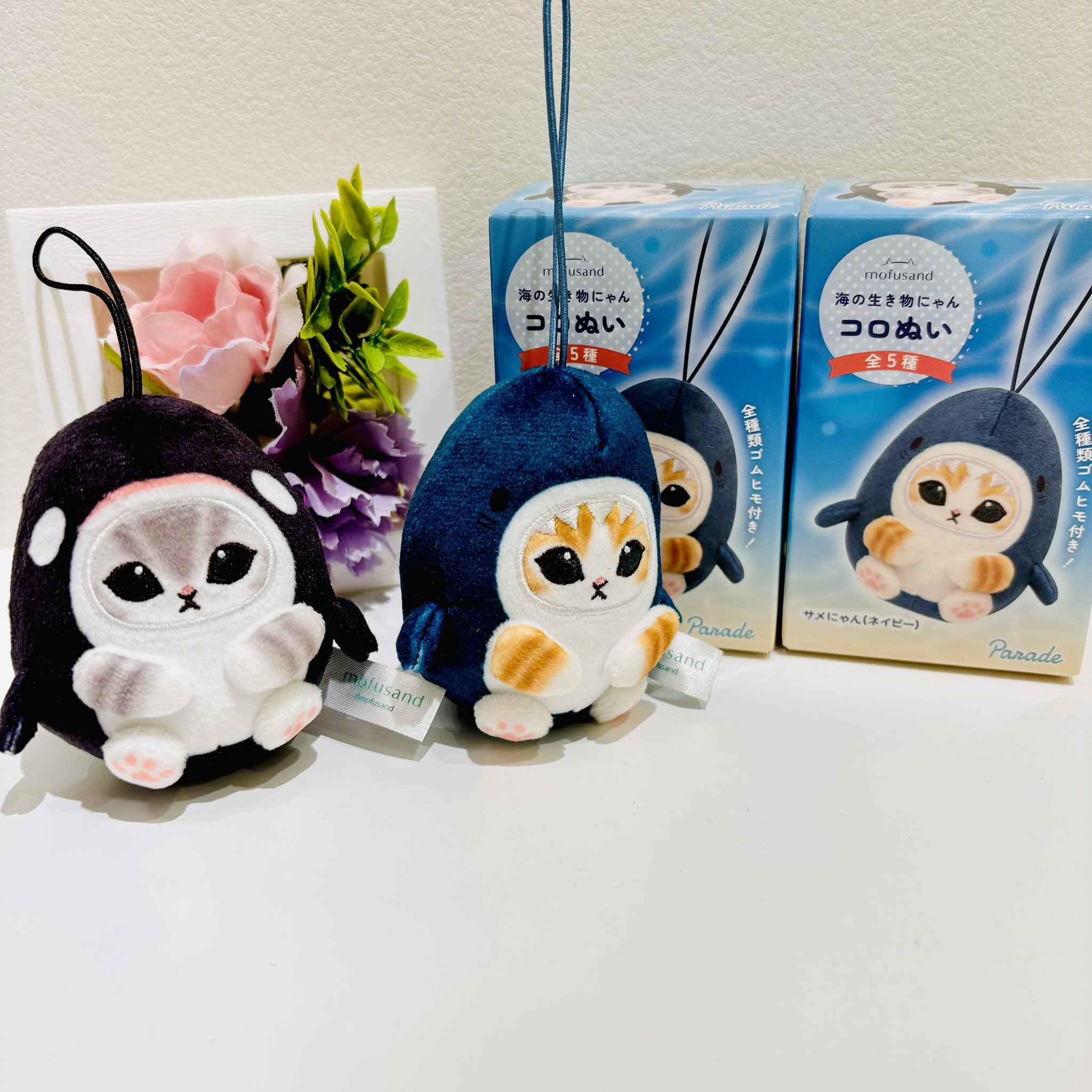 mofusand 猫海外限定確認用 mofusand 猫海外限定確認用 mofusand 海の生き物にゃんウォッチ｜株式