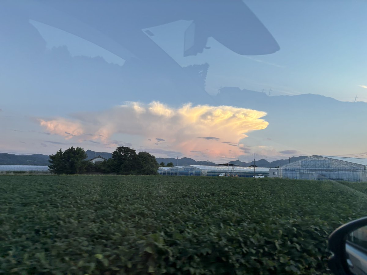 MihoHF's tweet photo. 昨夕、公文に送って行く途中に見えた雲が不思議な感じだった

6月から始めた公文ですが、娘は楽しそうにやってるし、やる気のあるようで無い息子も何だかんだで進んでる

娘が『4年生になったらバスケする。ママみたいになりたいから』

見せれる背中がありません笑

秋を感じながら本を探す母😇 https://t.co/a7SxIEkWCT