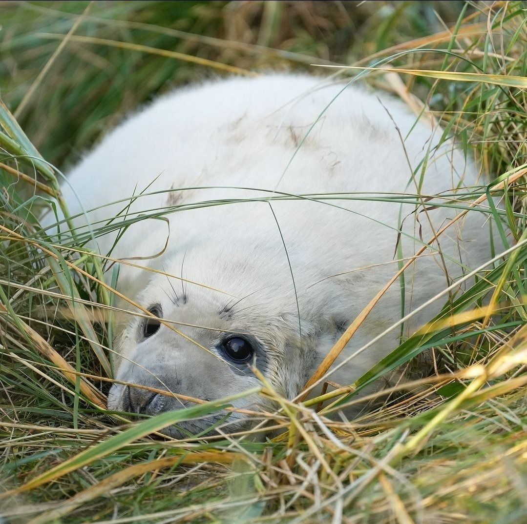 Paps (≧∀≦) tweet media