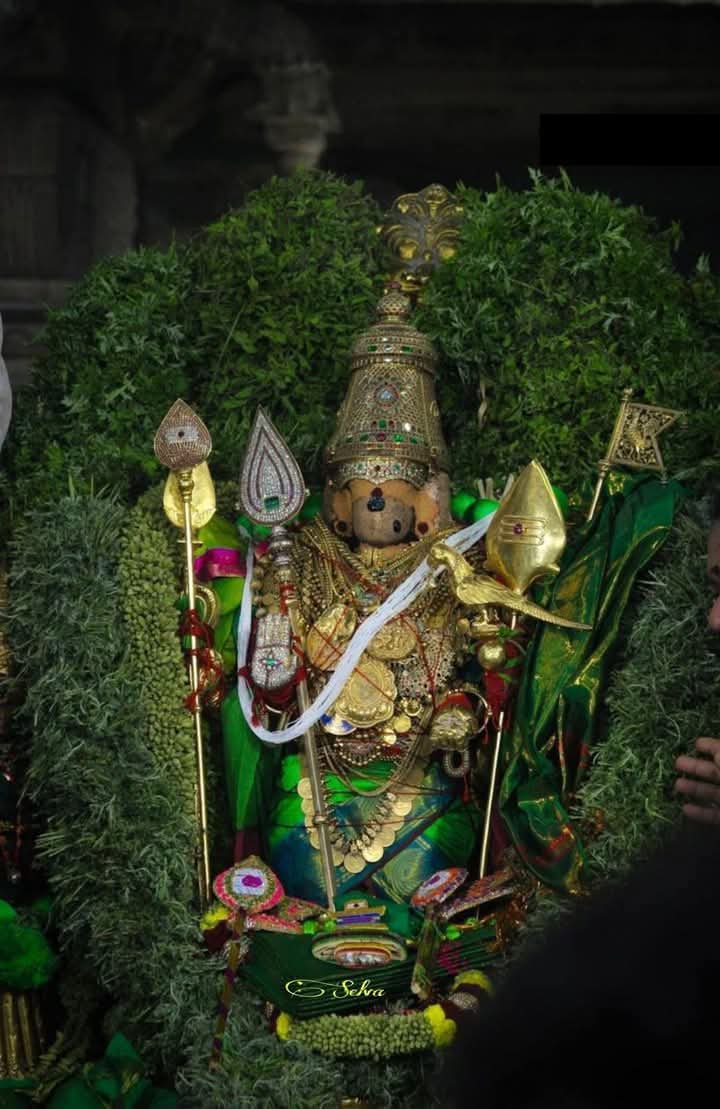 முருகா 🙏