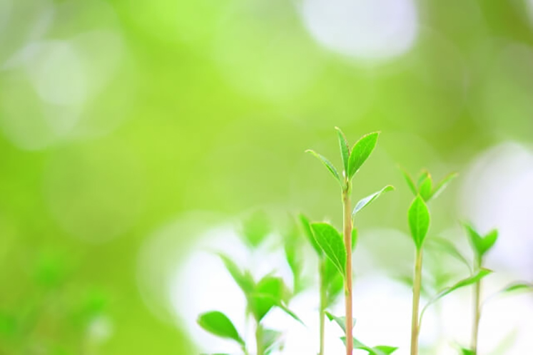 補助金・助成金だけじゃない❗️
中小企業支援施策✊

創業から事業承継まで、「中小企業支援施策」の活用メリットを紹介📖❗️

今回は、制度変更への対応、設備投資などを支援する「ものづくり・商業・サービス生産性向上促進補助金」を解説します。

記事はこちら⬇️
j-net21.smrj.go.jp/support/public…
#中小機構