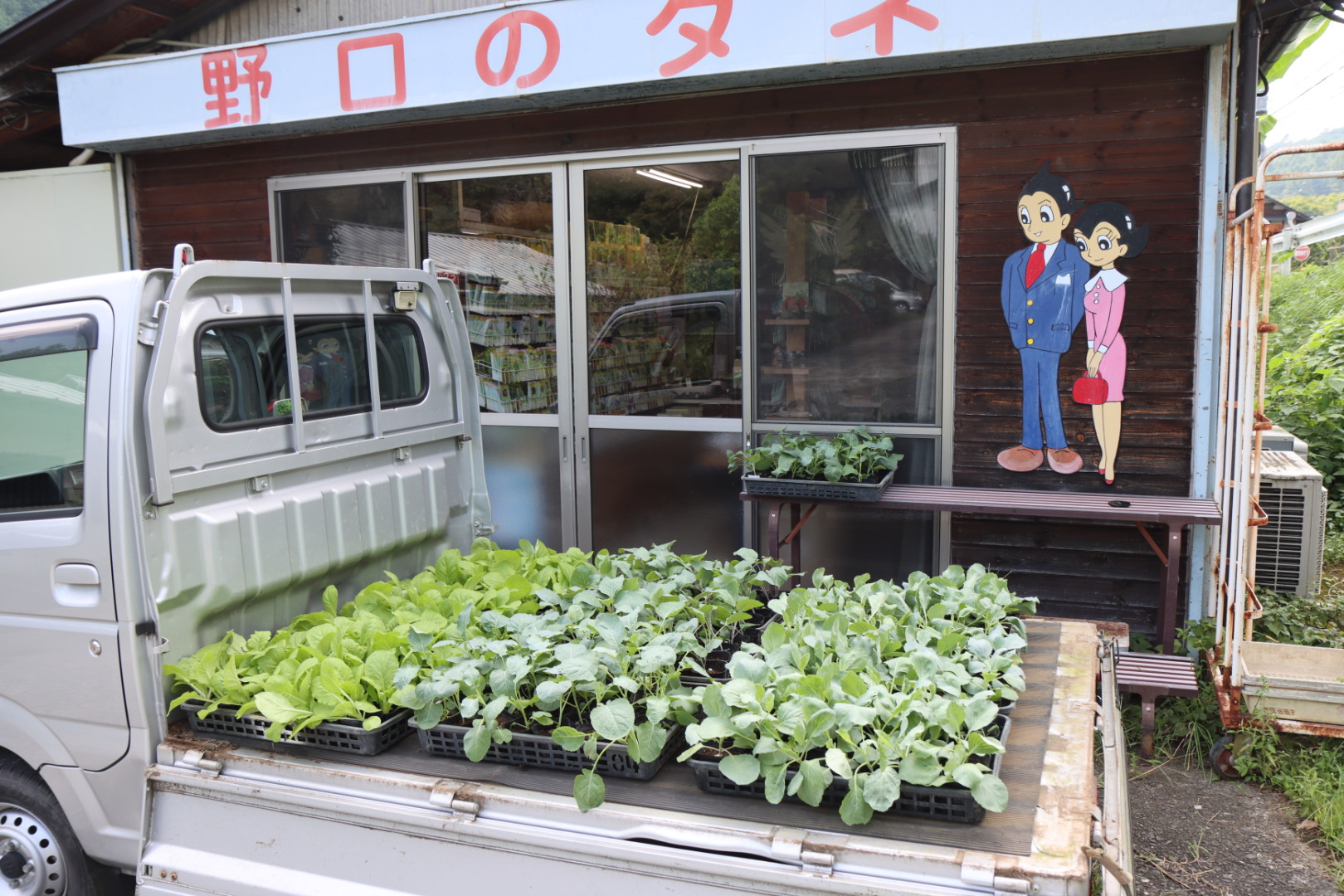 専用　買えません　穀類の種 11534 1000個 4袋セット お試し】【下仁田物産】蒟蒻工房 蒟蒻ゼリー 6個入り ※【いずれ