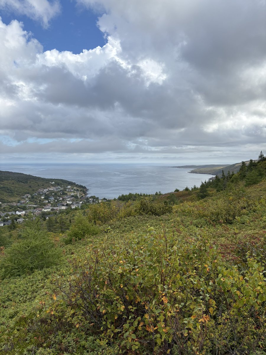 Survived the long walk today. 😂🫐