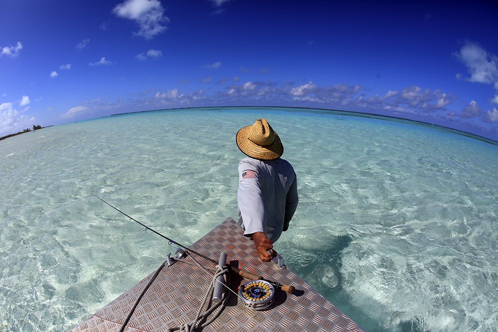 Keep Fish Wet tweet media