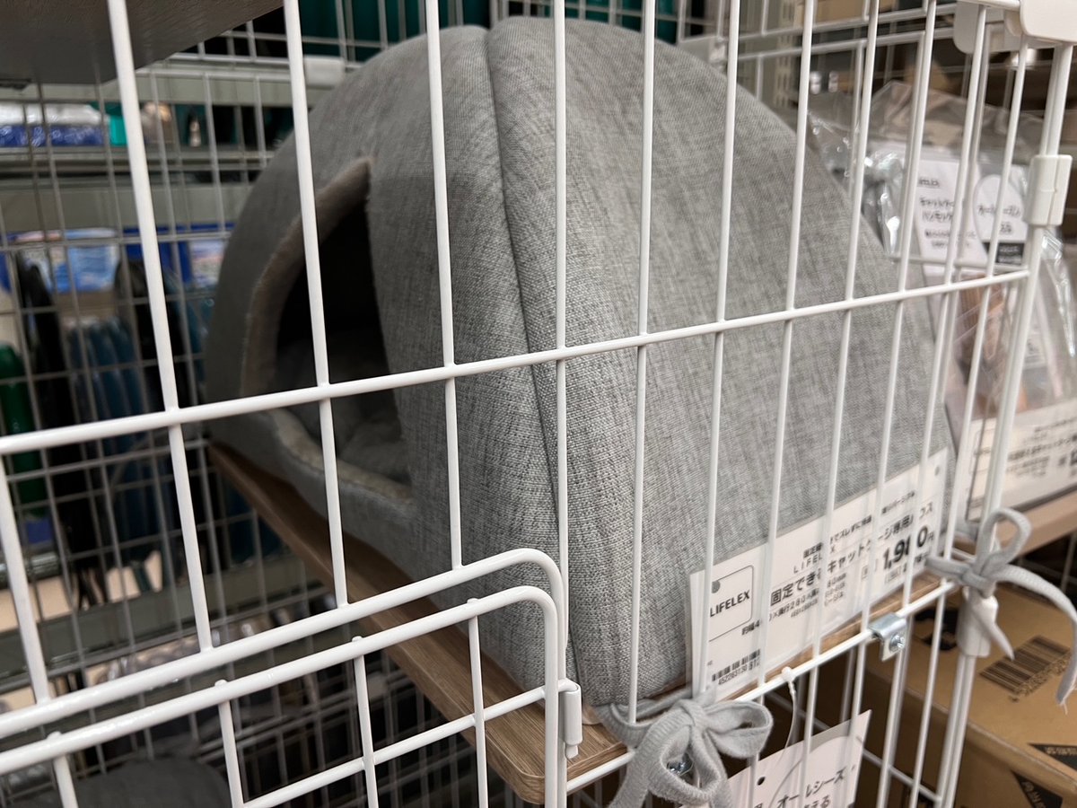 ＊先着 特別価格＊　お得意 様　⭐️MYKK⭐️ (他の方には発送できません) 妖怪元気ババァ (@H4JSHXJXBqBgHWp) / X