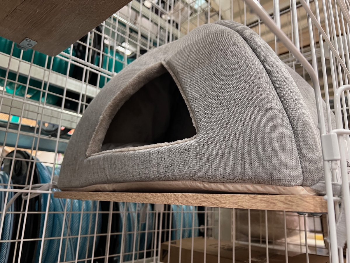 🐈 #ネコの日 9月スペシャルキャンペーン 🐈 毎月22日はネコの日