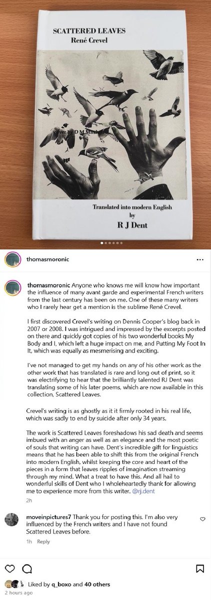 Absolutely floored by Thomas Moore's review of my English translation of René Crevel's Scattered Leaves, published by Incunabula. 
Book link: incunabulamedia.com/r-j-dent-1
Original post: instagram.com/p/DOq46GdjGngm…