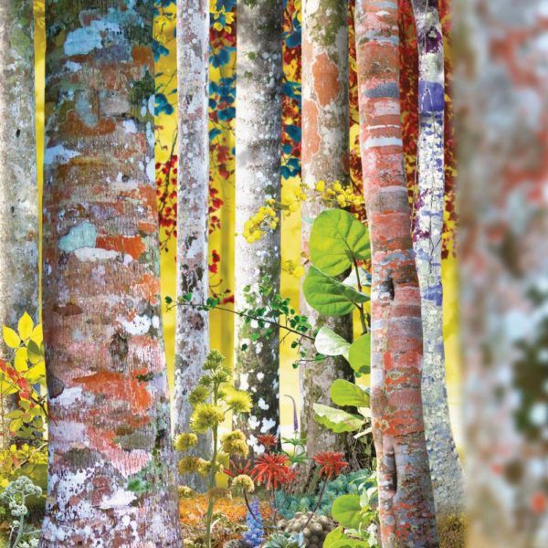 NPG_KID's tweet image. 今日は #デヴィッド・シルヴィアン から😊
ソロ作は全部持ってたけど教授とのコラボ作ほか充実のラインナップ👍️ #DavidSylvian

Blemish - David Sylvian / Do You Know Me Now?' – The Samadhisound Box Set #NowPlaying