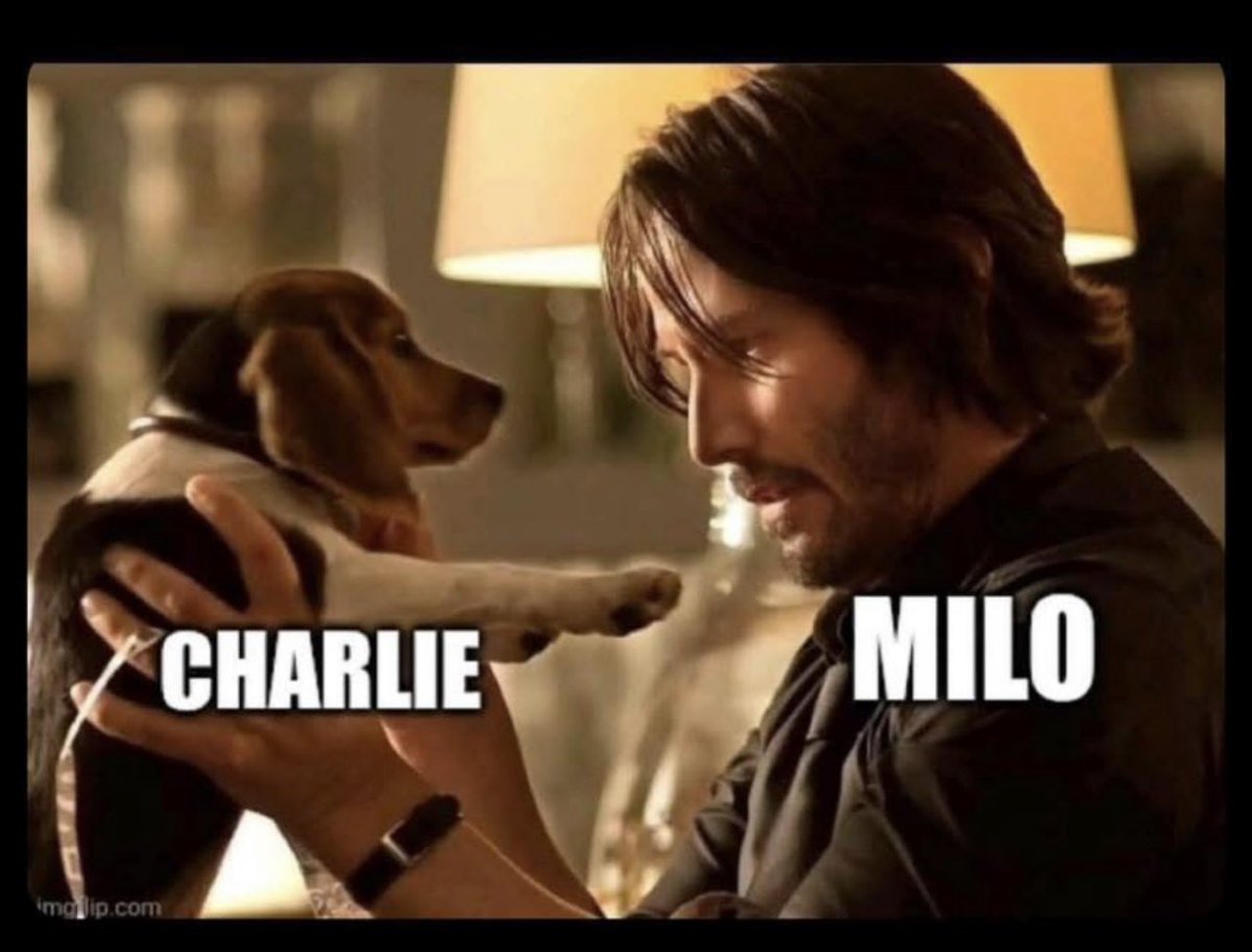 Just got sent this and I figured I’d share in case people were confused about who Milo is 😂
