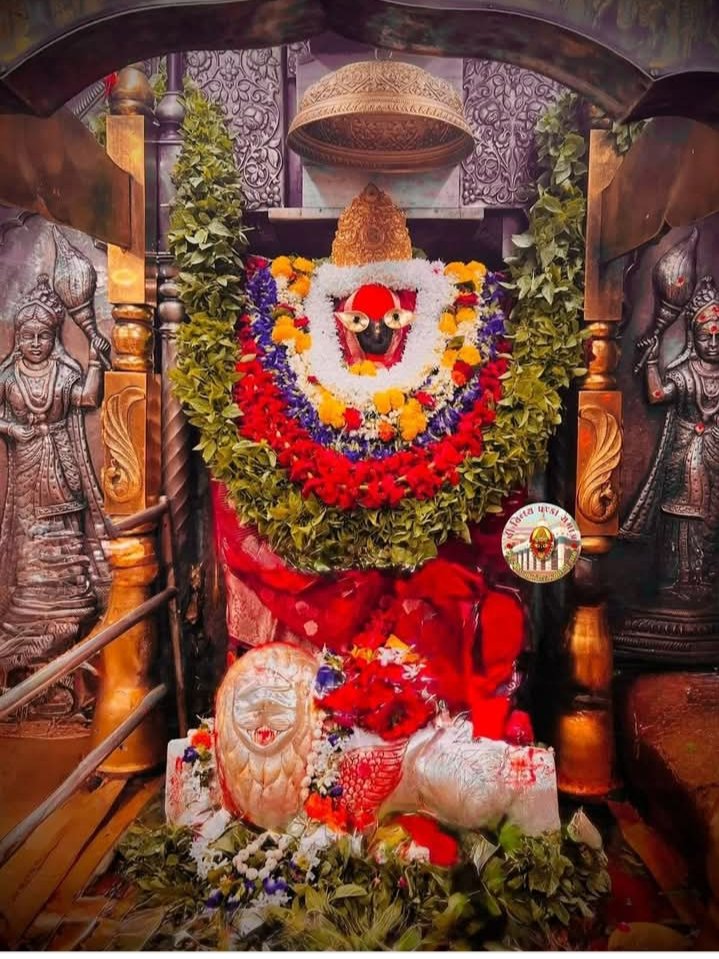 जय माता भगवती आदिशक्ति विन्ध्येश्वरी महारानी जी की !!!....